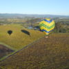 Up and Away Ballooning Sonoma County
